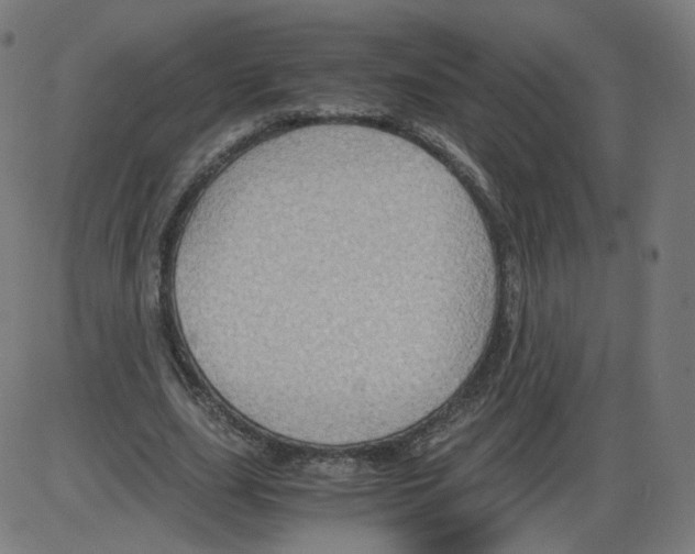 X0000084030631200703161806