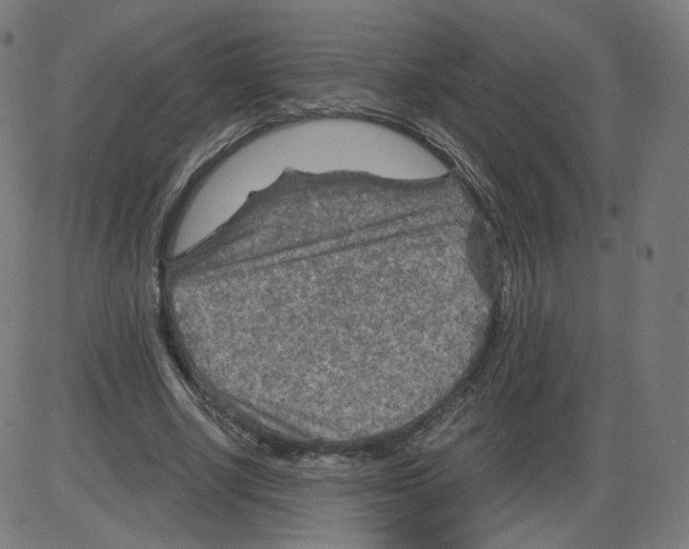 X0000084030634200703161806