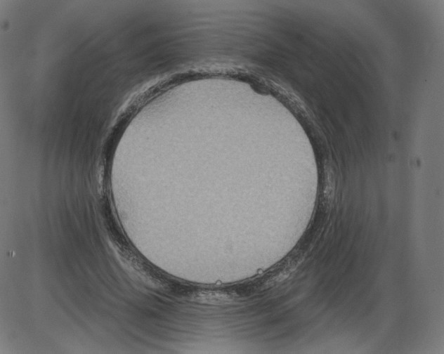 X0000084030636200703161807