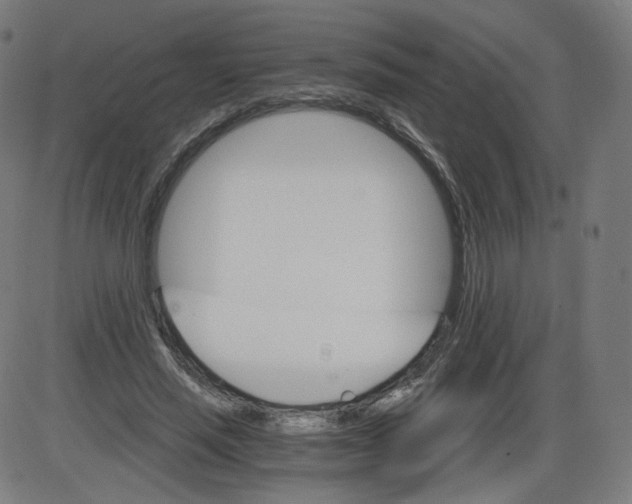 X0000084030637200703161807