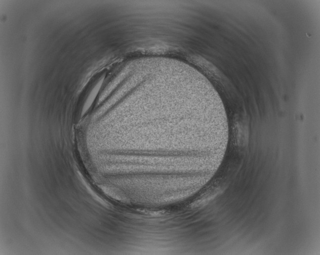 X0000084030638200703161807