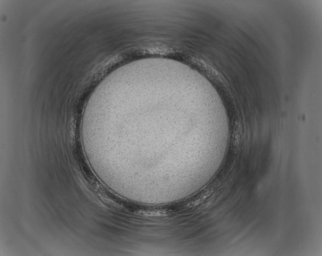 X0000084030639200703161807