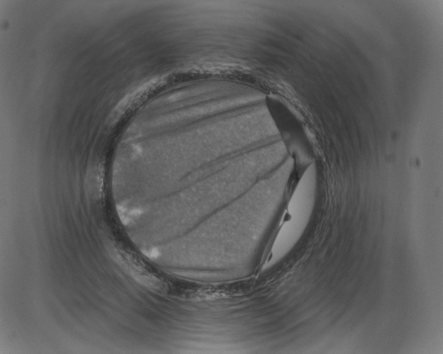 X0000084030640200703161807