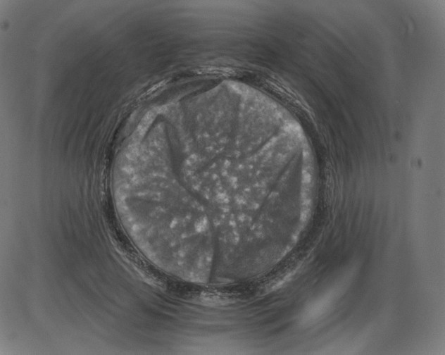 X0000084030641200703161807