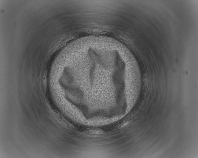 X0000084030642200703161807