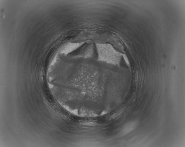 X0000084030643200703161807