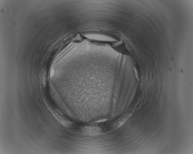 X0000084030644200703161807