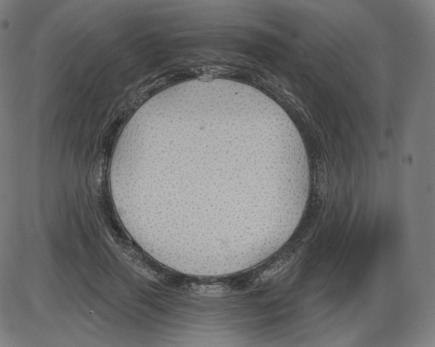 X0000084030645200703161807