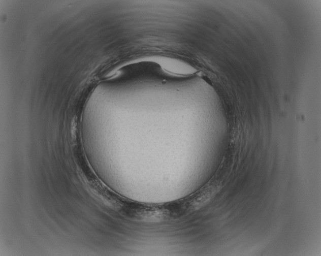 X0000084030646200703161807