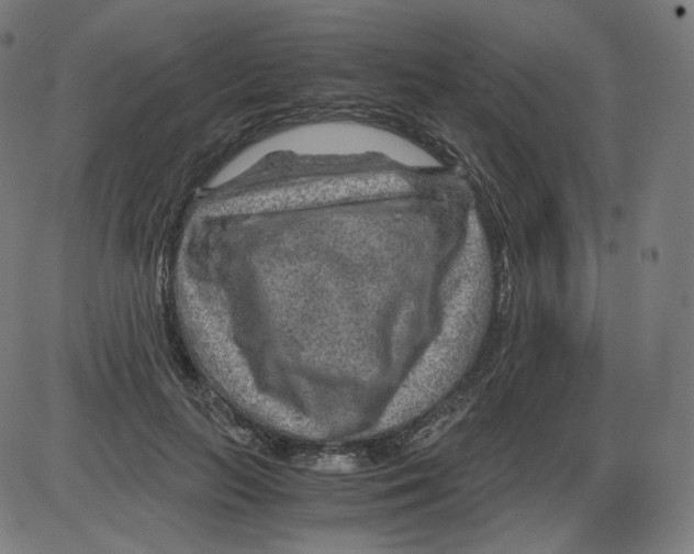 X0000084030647200703161807