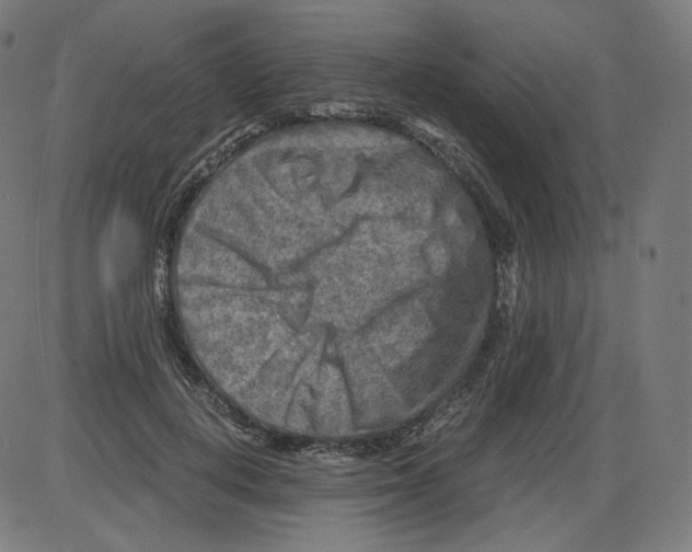 X0000084030648200703161807