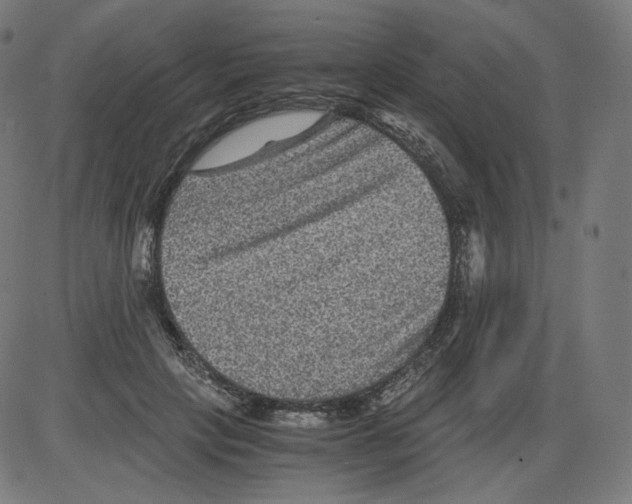 X0000084030649200703161807