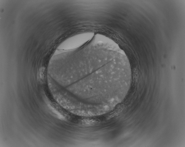 X0000084030650200703161807