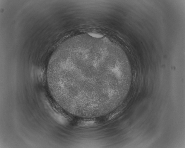 X0000084030651200703161807