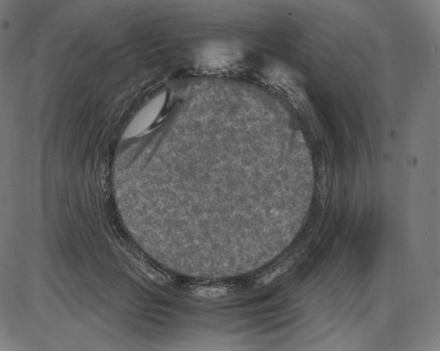 X0000084030653200703161807