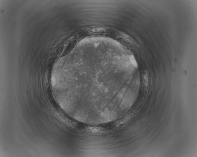 X0000084030654200703161807