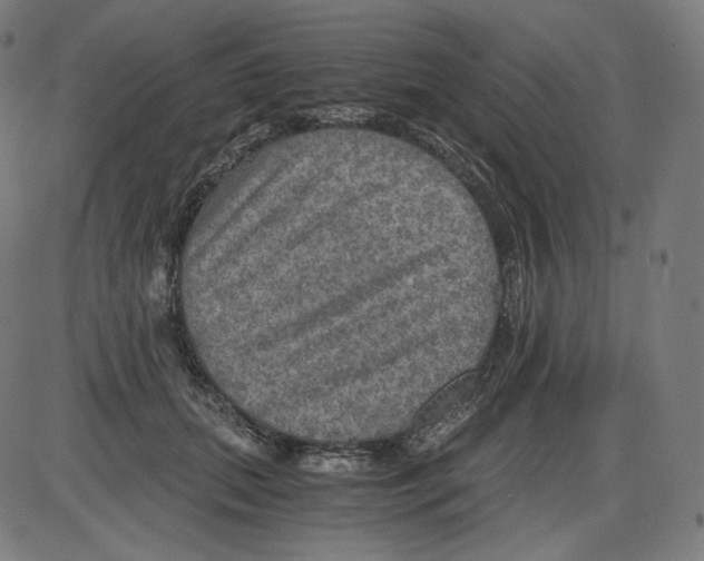 X0000084030655200703161807