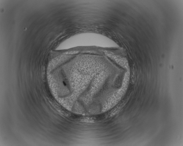 X0000084030656200703161807