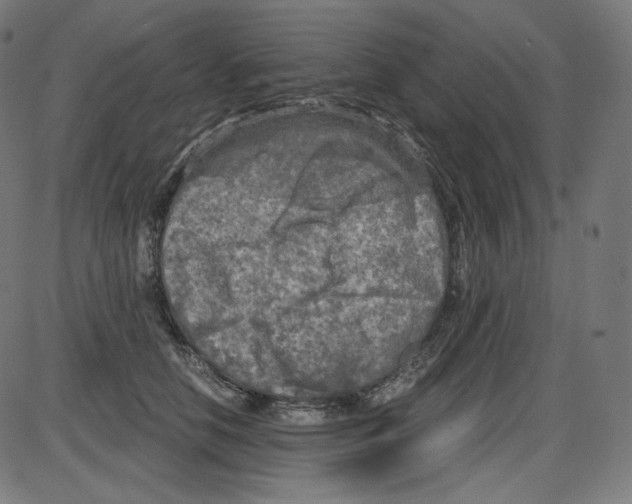 X0000084030658200703161807