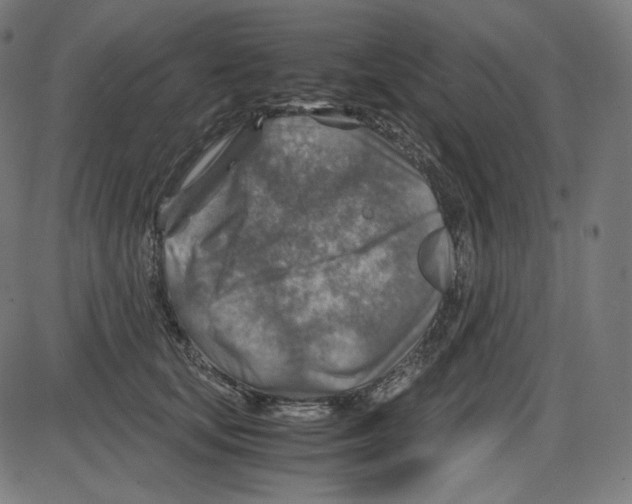 X0000084030659200703161807