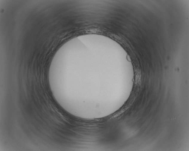 X0000084030660200703161807