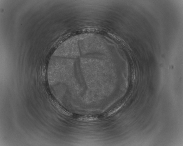 X0000084030661200703161807