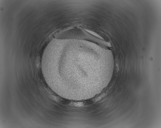 X0000084030665200703161807