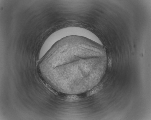 X0000084030666200703161807