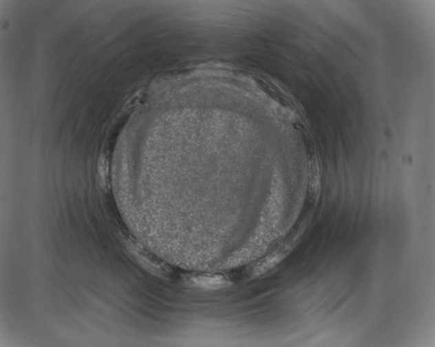 X0000084030669200703161807