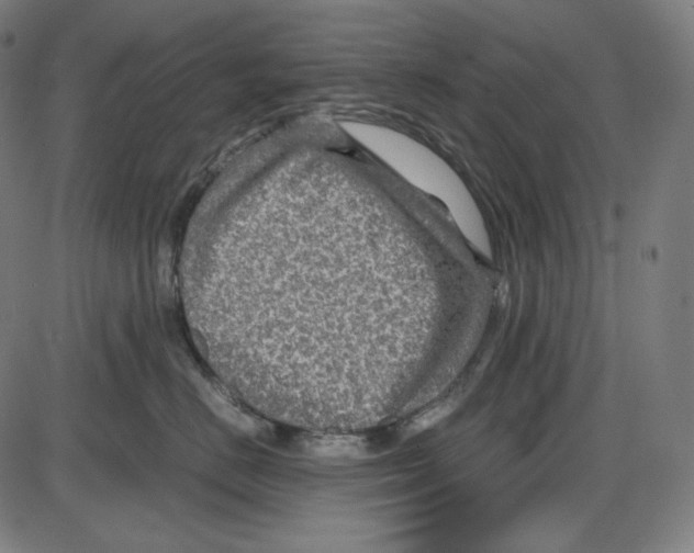 X0000084030670200703161807