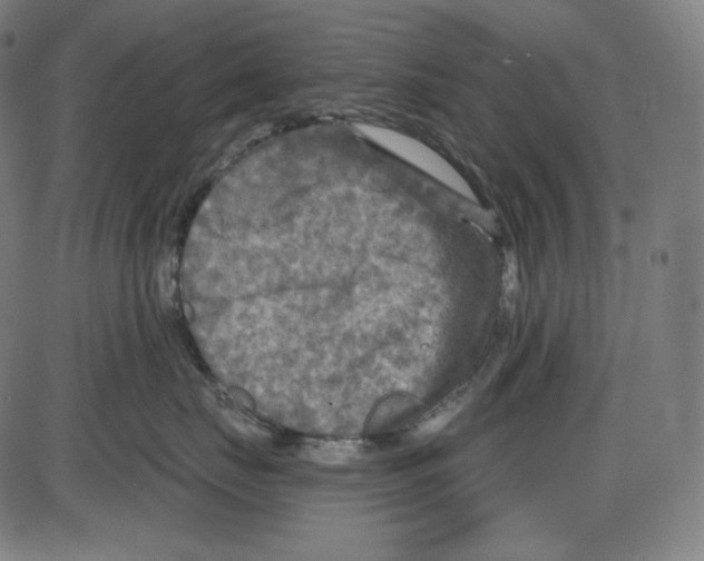 X0000084030671200703161807