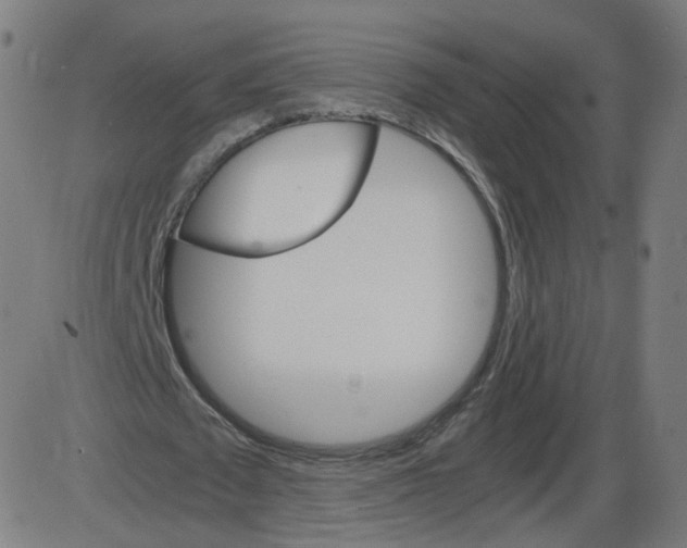 X0000084030673200703161806