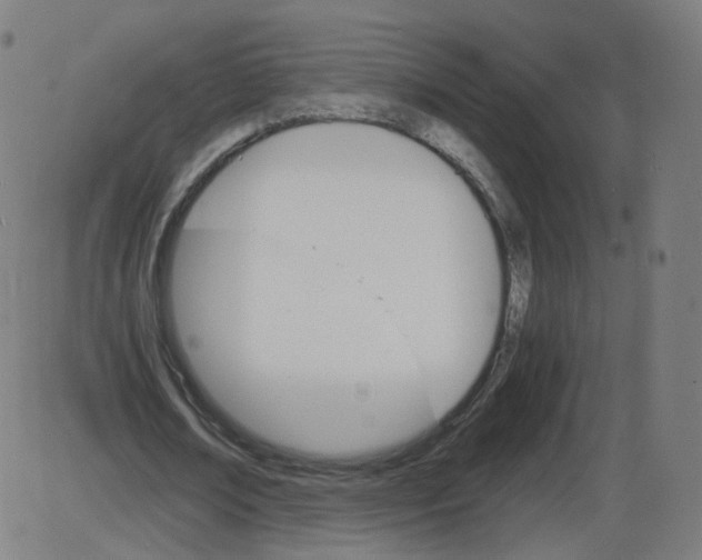 X0000084030674200703161806