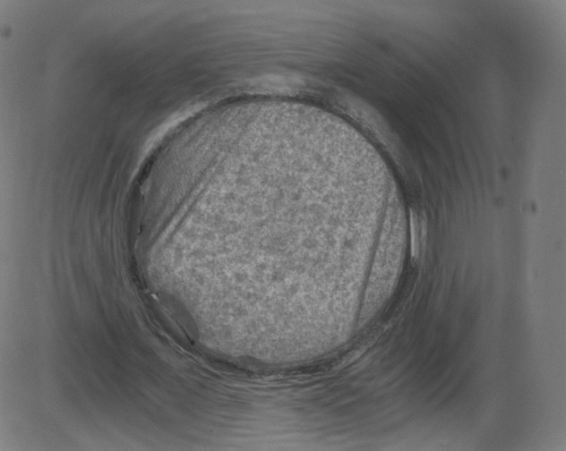 X0000084030675200703161806