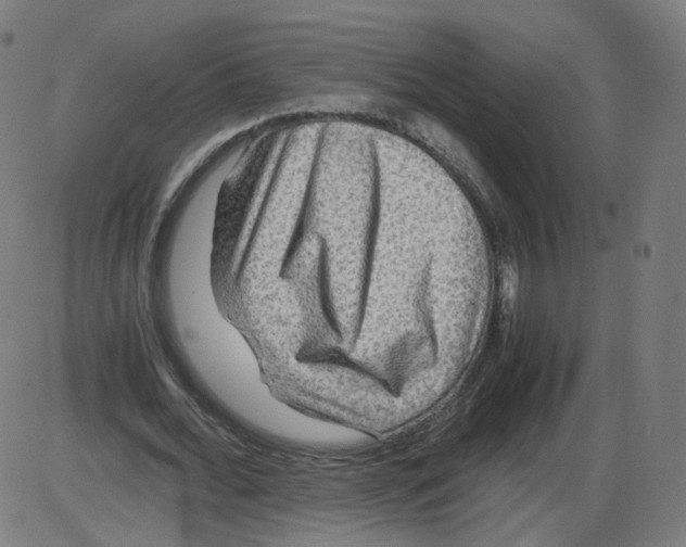 X0000084030676200703161806