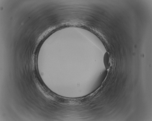 X0000084030678200703161806