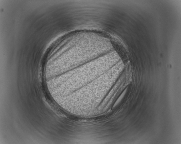 X0000084030680200703161806