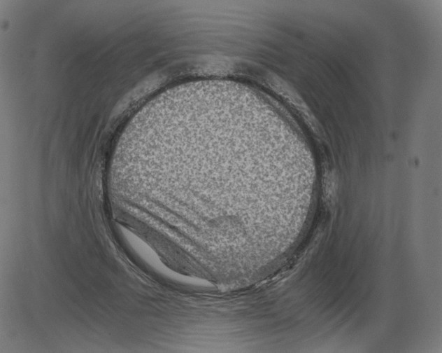 X0000084030681200703161806