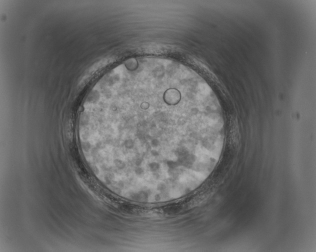 X0000084030683200703161806