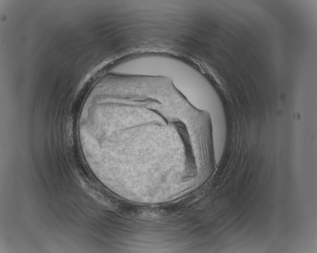 X0000084030684200703161806