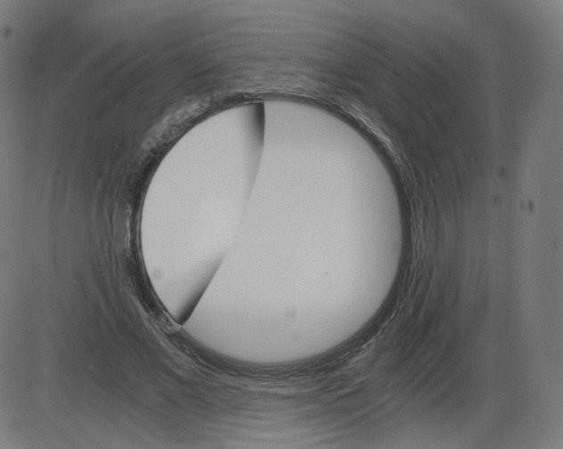 X0000084030685200703161806