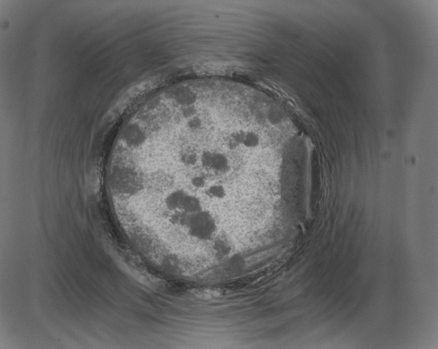 X0000084030687200703161806