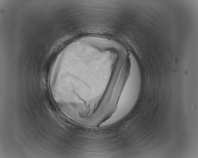 X0000084030688200703161806