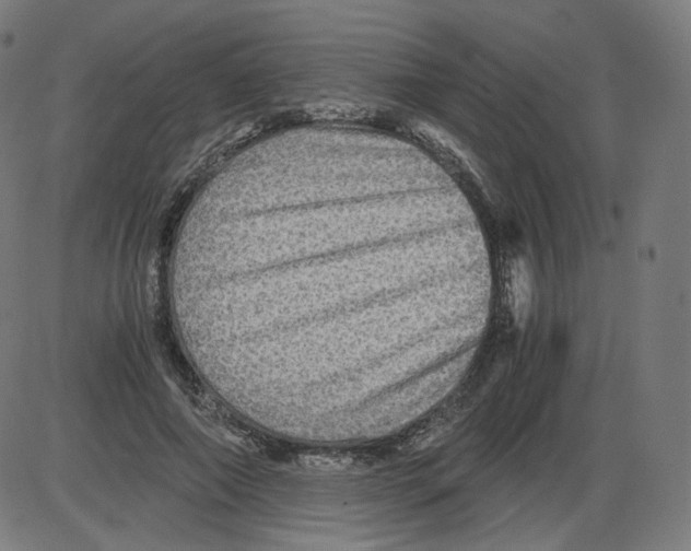 X0000084030690200703161806