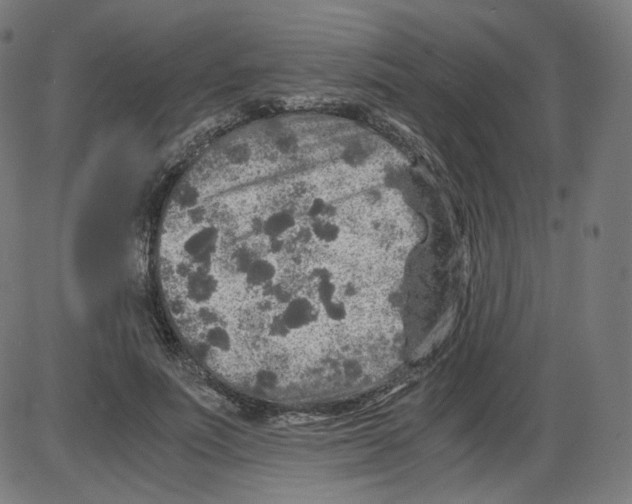 X0000084030691200703161806