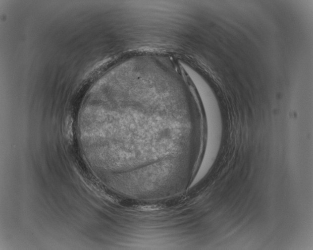 X0000084030692200703161806