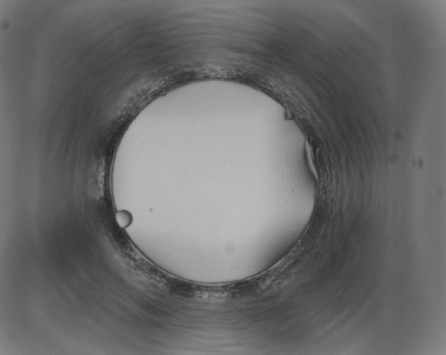 X0000084030694200703161806