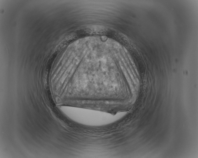 X0000084030695200703161806