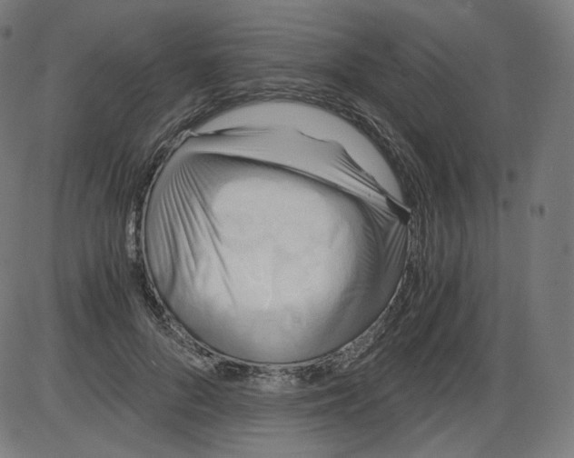 X0000084030696200703161806