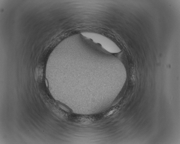 X0000084030697200703161806